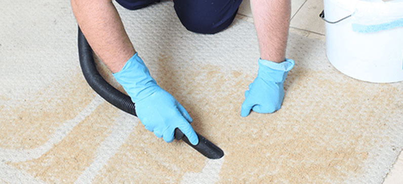 Professional Vacuuming the carpet